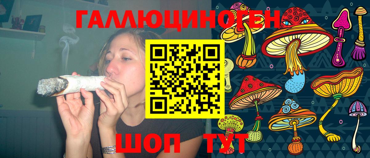 Псилоцибиновые грибы GOLDEN TEACHER  Галлюциногенные грибы прущие грибы  Вход с VPN  Ульяновск 